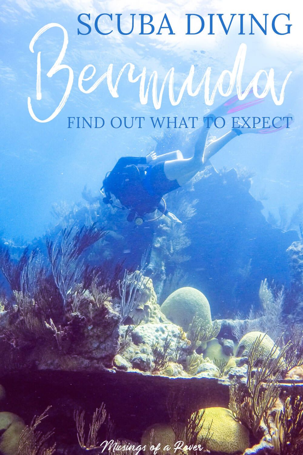 Scuba diving in Bermuda is must for your trip! Shipwrecks, marine life, & clear waters make this a top diving destination. Find out what to expect! And discover why you should dive with Blue Water Divers. Hint great service, great communication, low(est) price, and small groups!