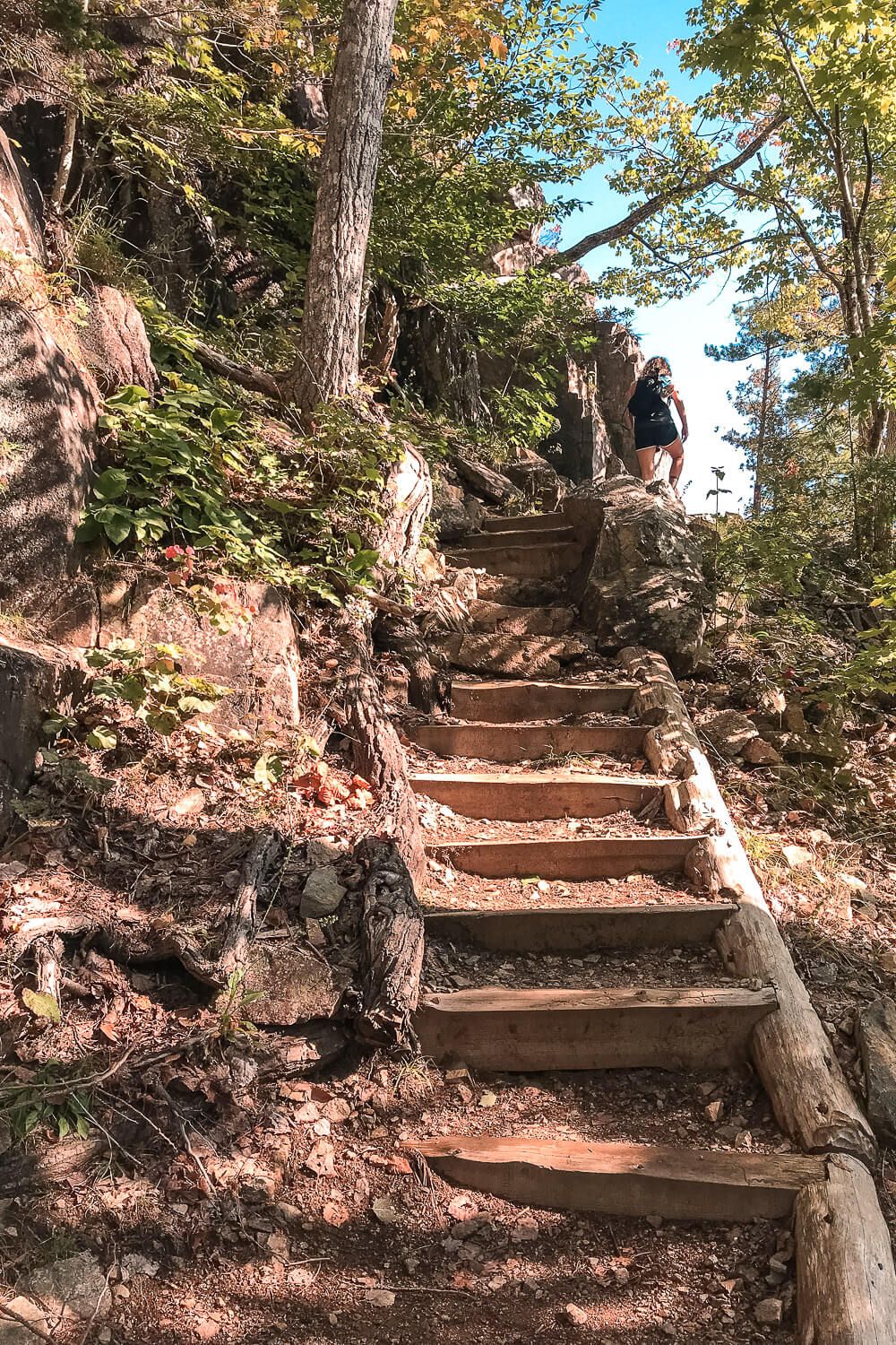 beech cliff trail