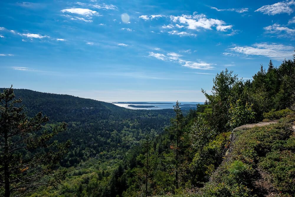 beech cliff trail looking towards atlantic ocean