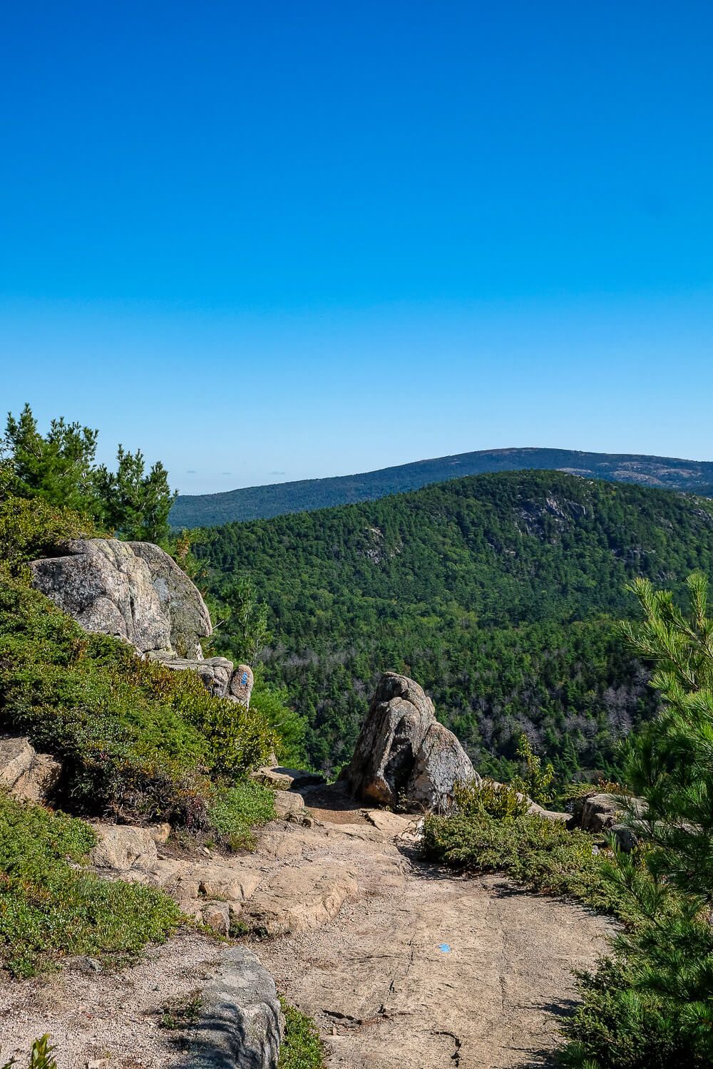 beech cliff loop trail