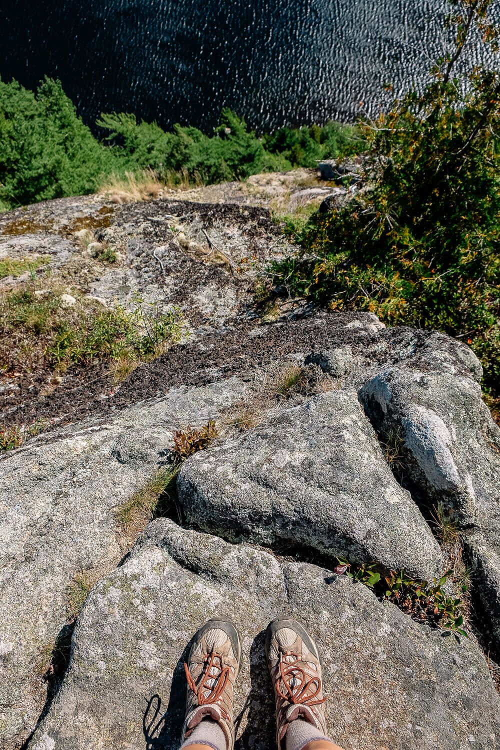 beech cliff loop trail