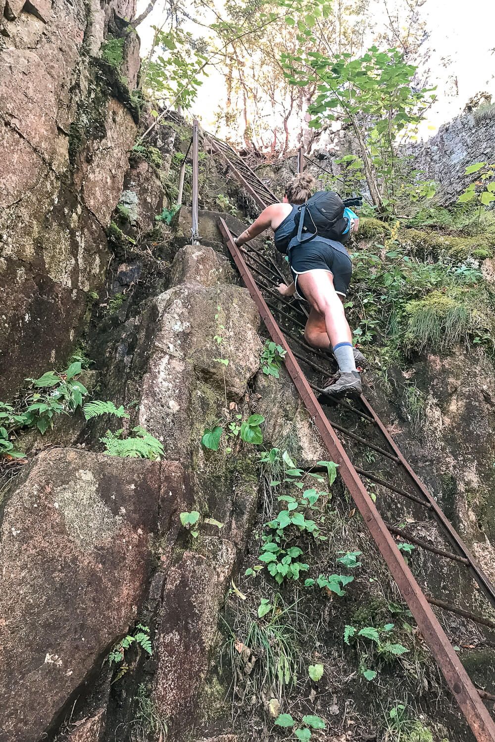 beech cliff trail