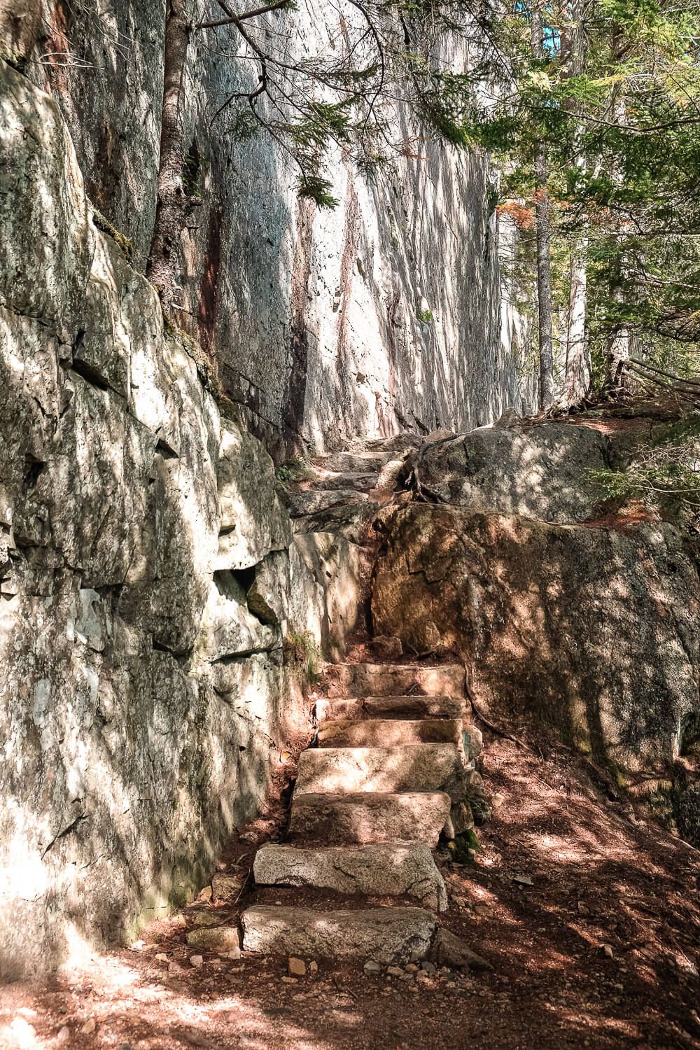 beech cliff trail