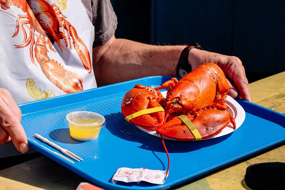 best Bar Harbor lobster pounds