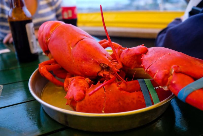The Best Bar Harbor Lobster Pounds for Your Trip
