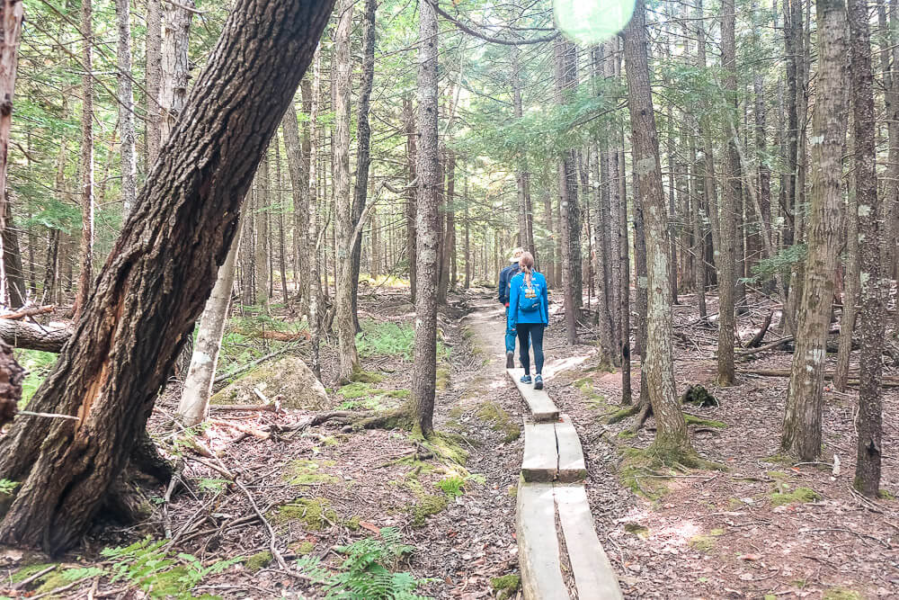 North Bubble Loop Trail