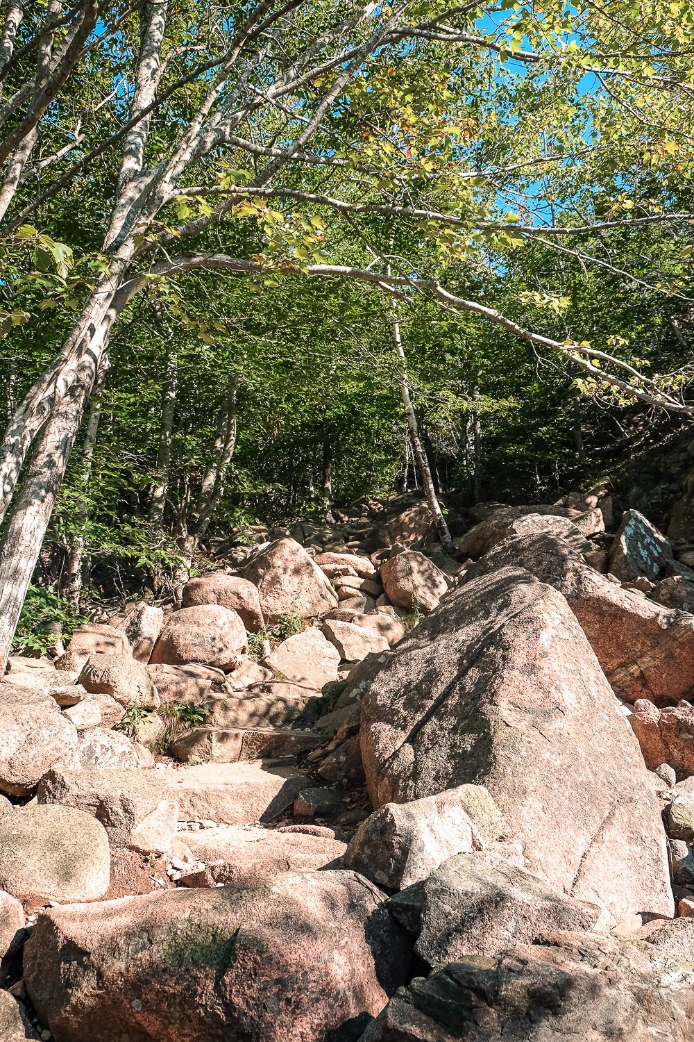 Gorham Mountain Trail