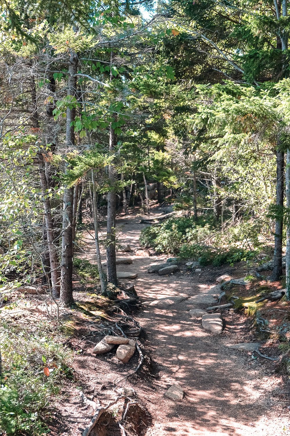 Gorham Mountain Trail