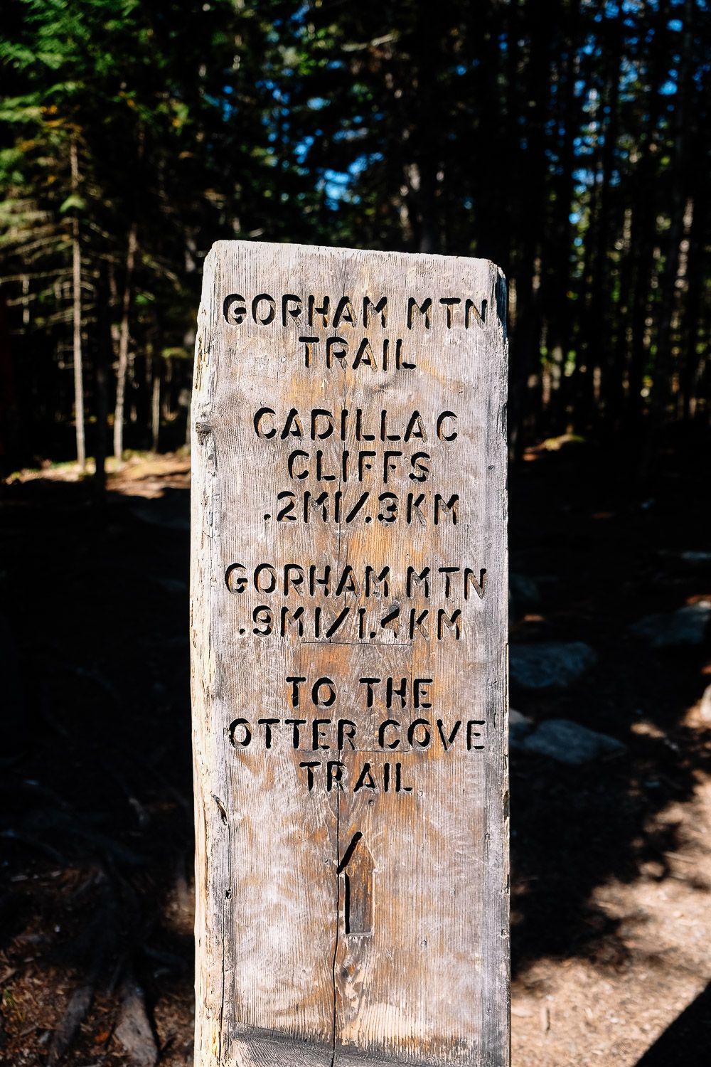 Gorham Mountain Trail