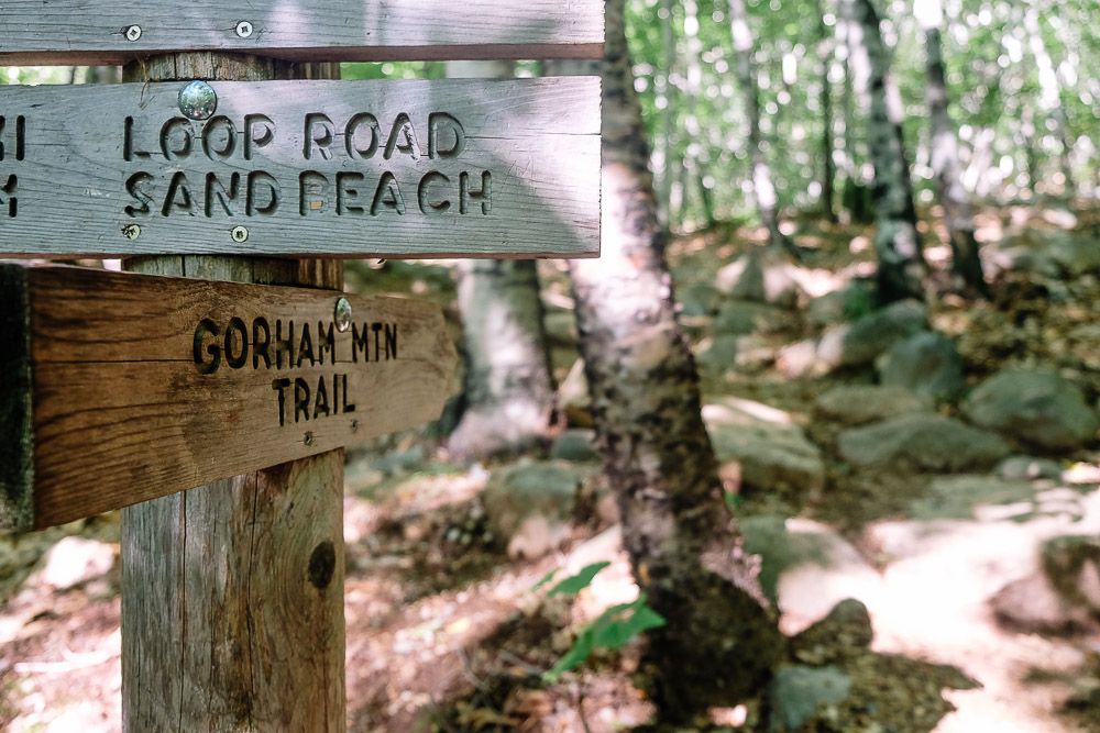 Gorham Mountain Trail