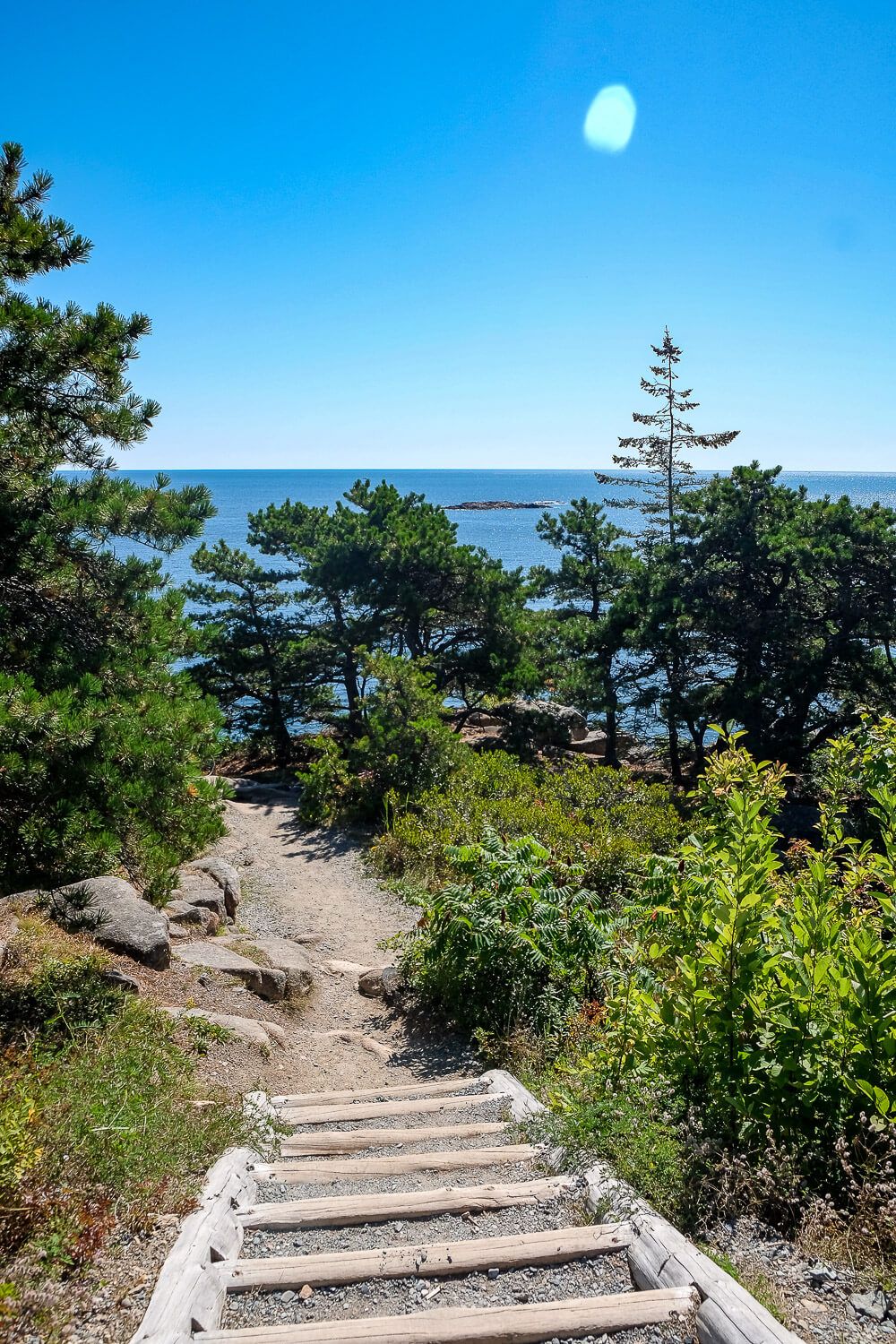 Ocean Path: One day in acadia national park