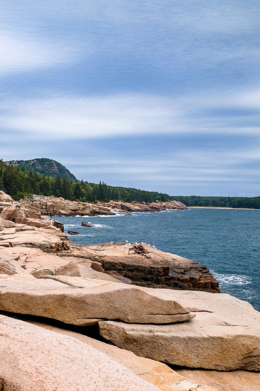 Ocean Path: One day in acadia national park