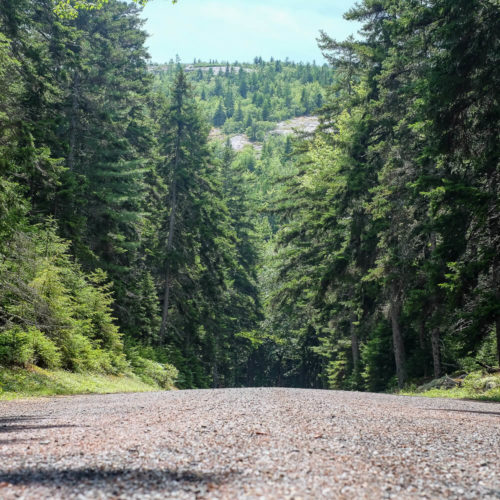 biking carriage roads