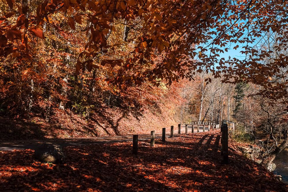 deep creek trail