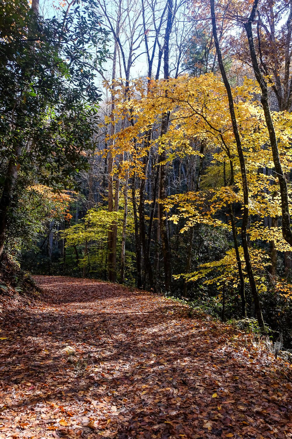 deep creek trail