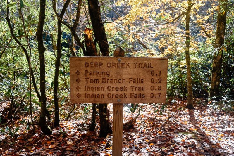 Hike the Deep Creek Trail Loop in the Smoky Mountains