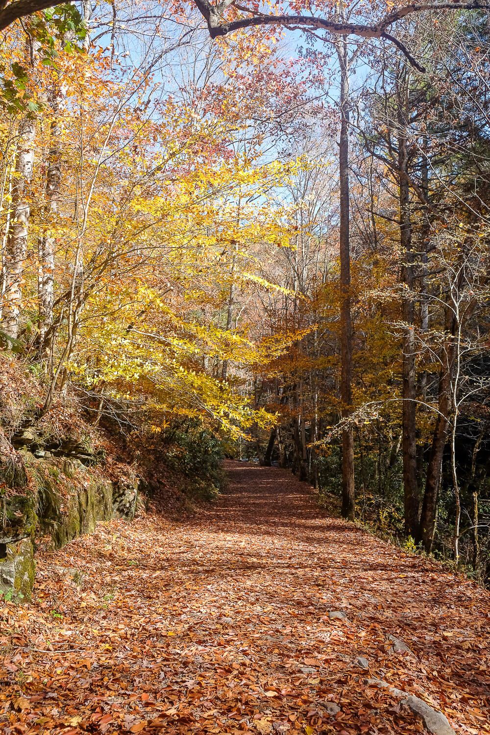 deep creek trail