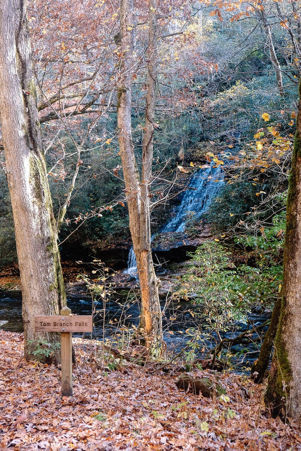 tom branch falls