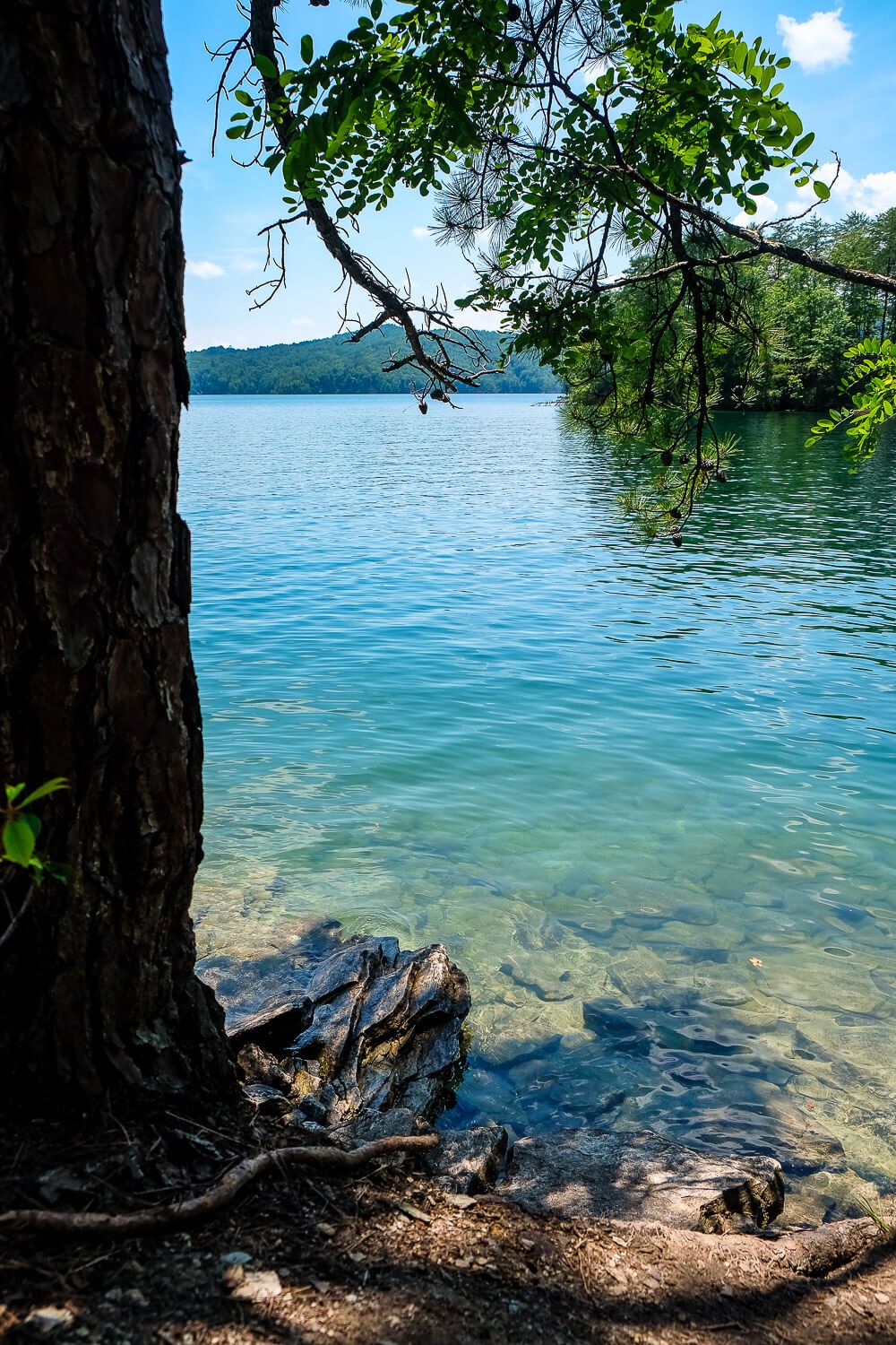 Site 15 Boat in campsites at lake jocassee