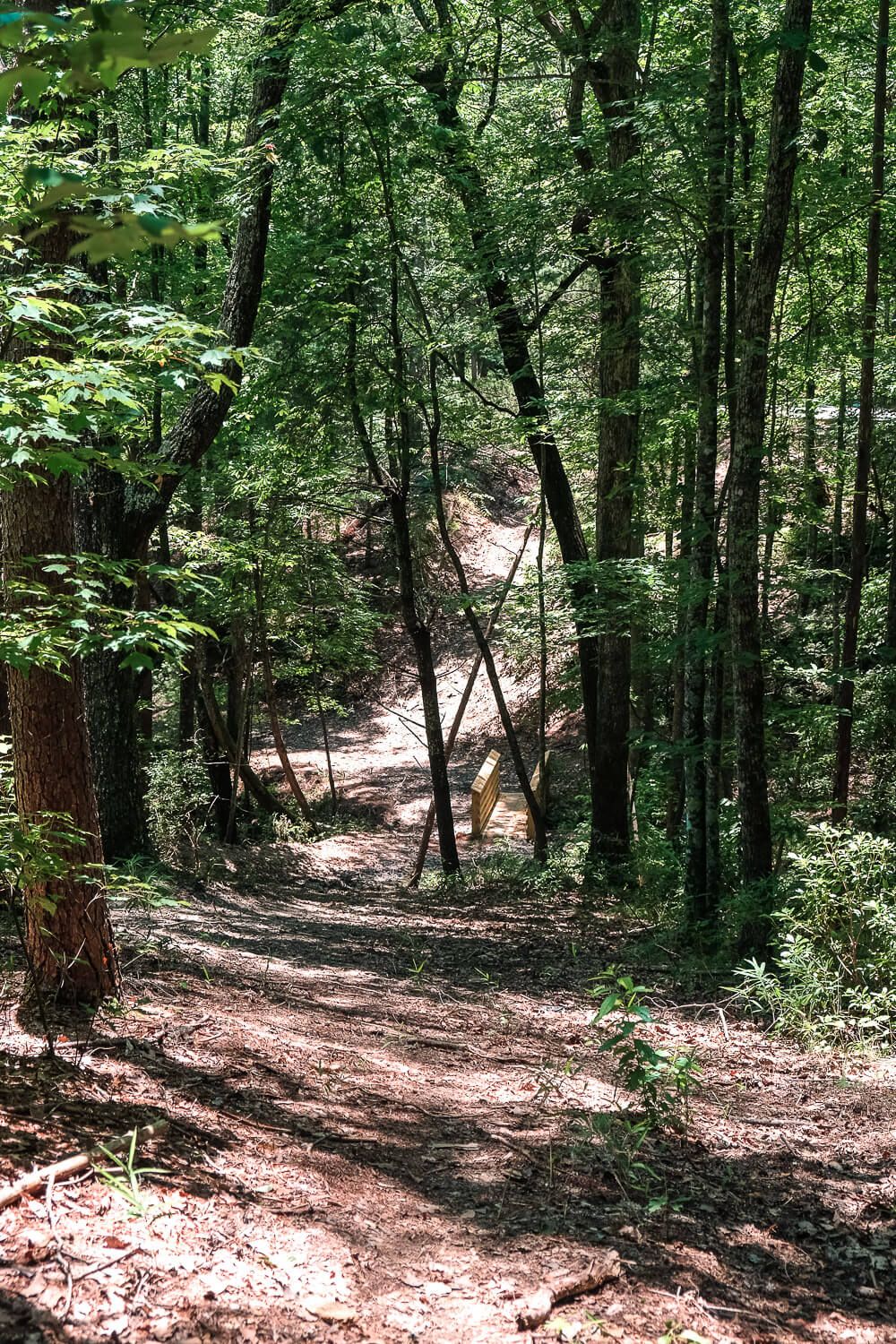 site 16 Boat in campsites at lake jocassee