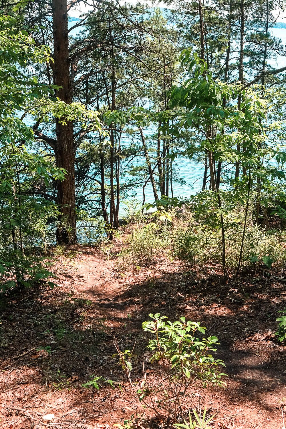 Site 19 path to the water Boat in campsites at lake jocassee