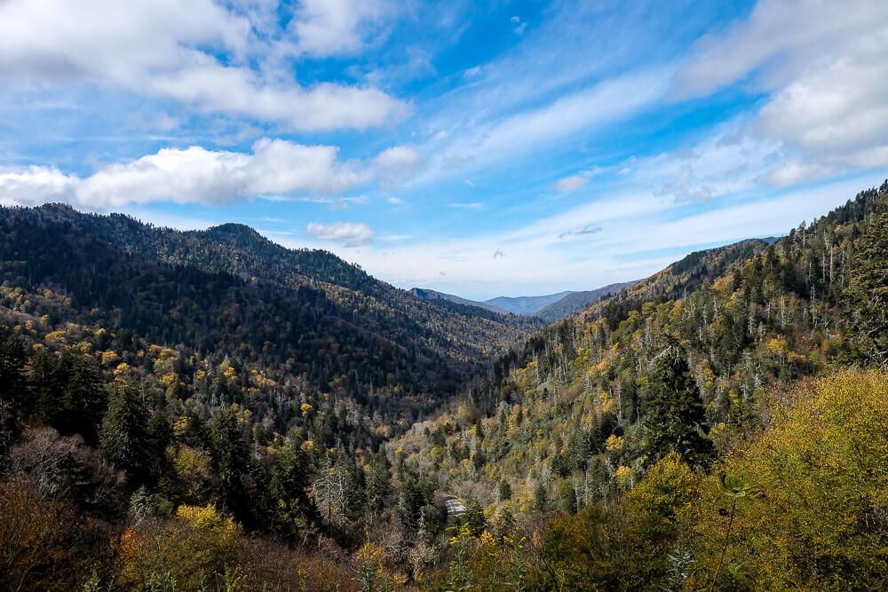 Newfound gap road - great smoky mountains