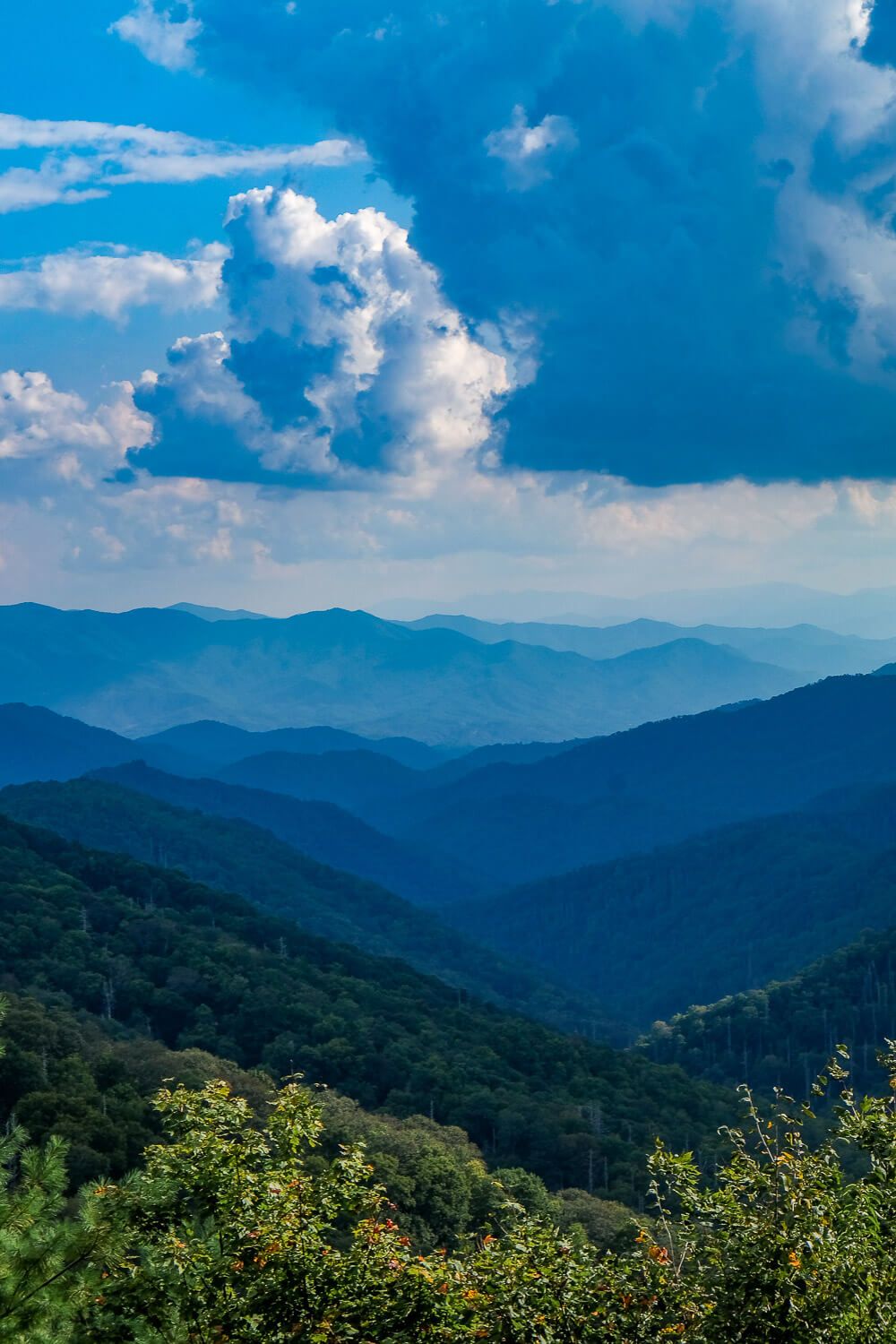 clingmans dome - great smoky mountains