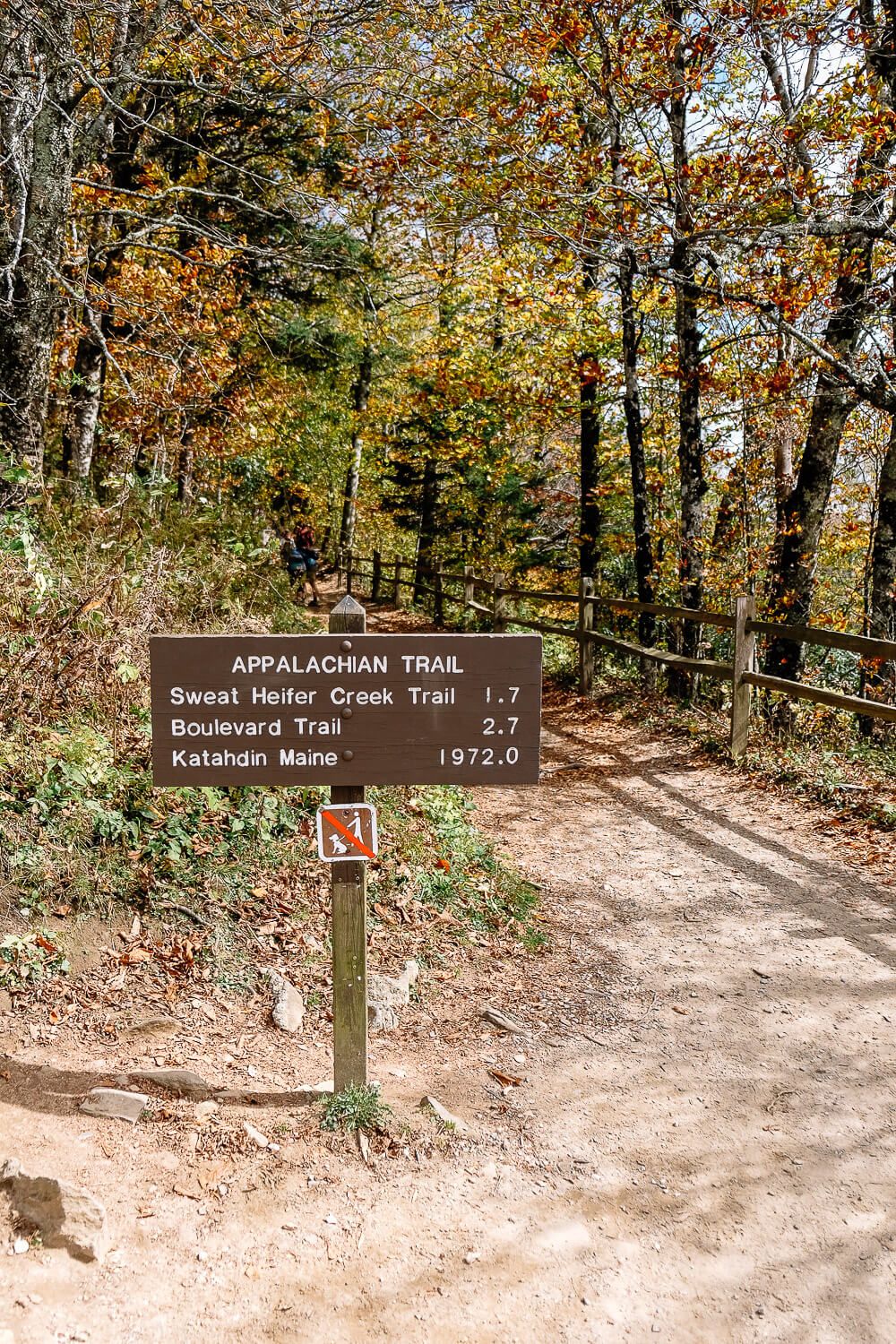 newfound gap - great smoky mountains