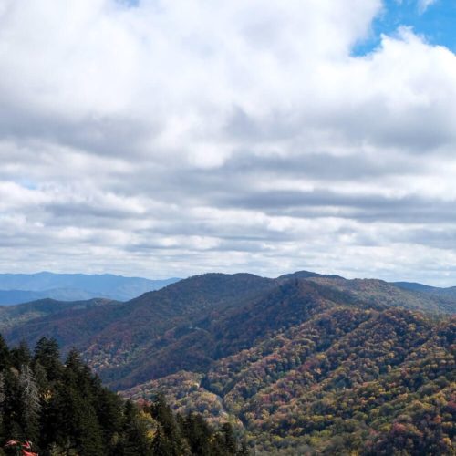 newfound gap - great smoky mountains