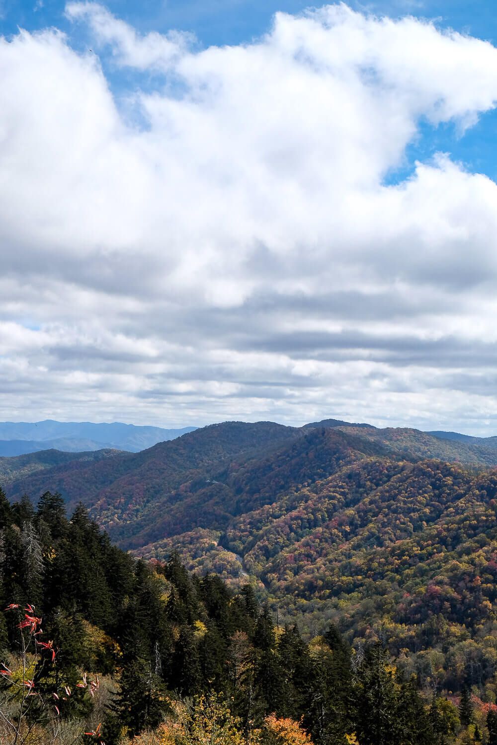 newfound gap - great smoky mountains