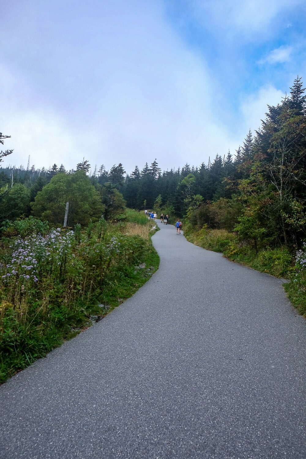 clingmans dome - great smoky mountains