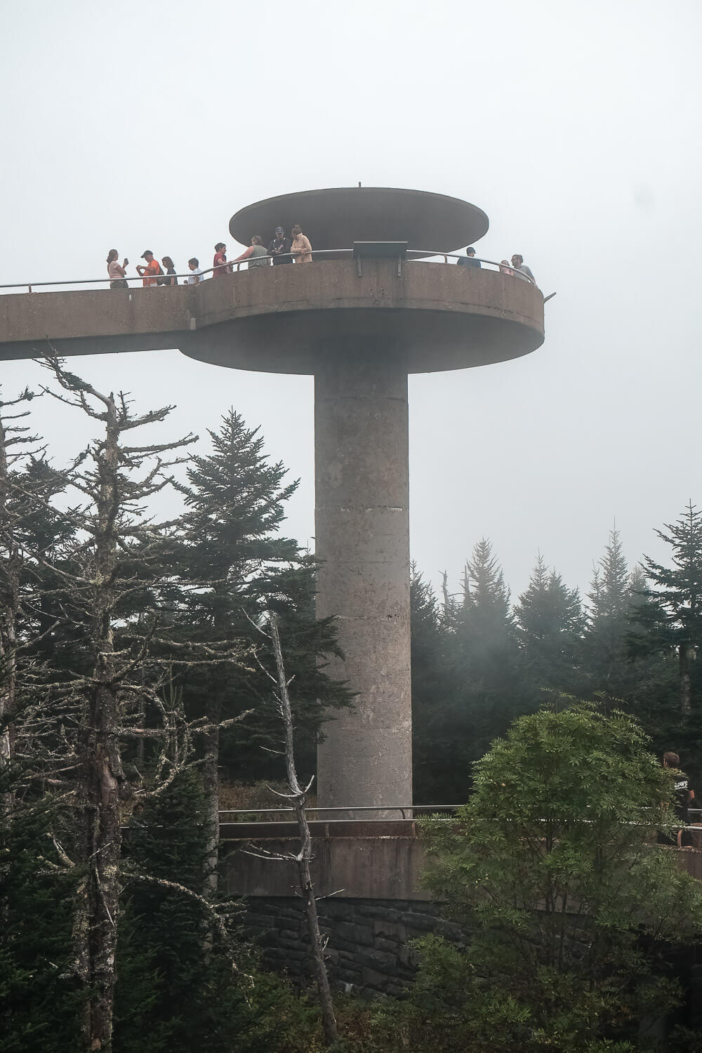 clingmans dome - great smoky mountains