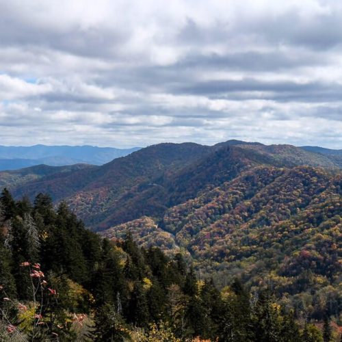 5 Awesome Things to Do in Great Smoky Mountains National Park