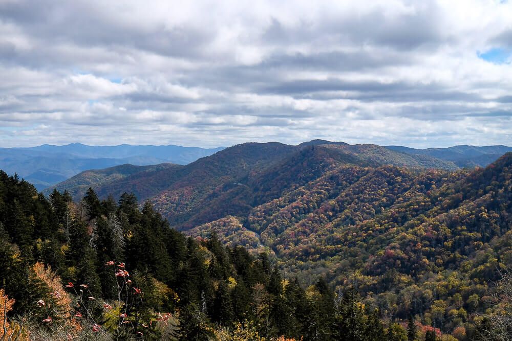 Things to do in great smoky mountains national park