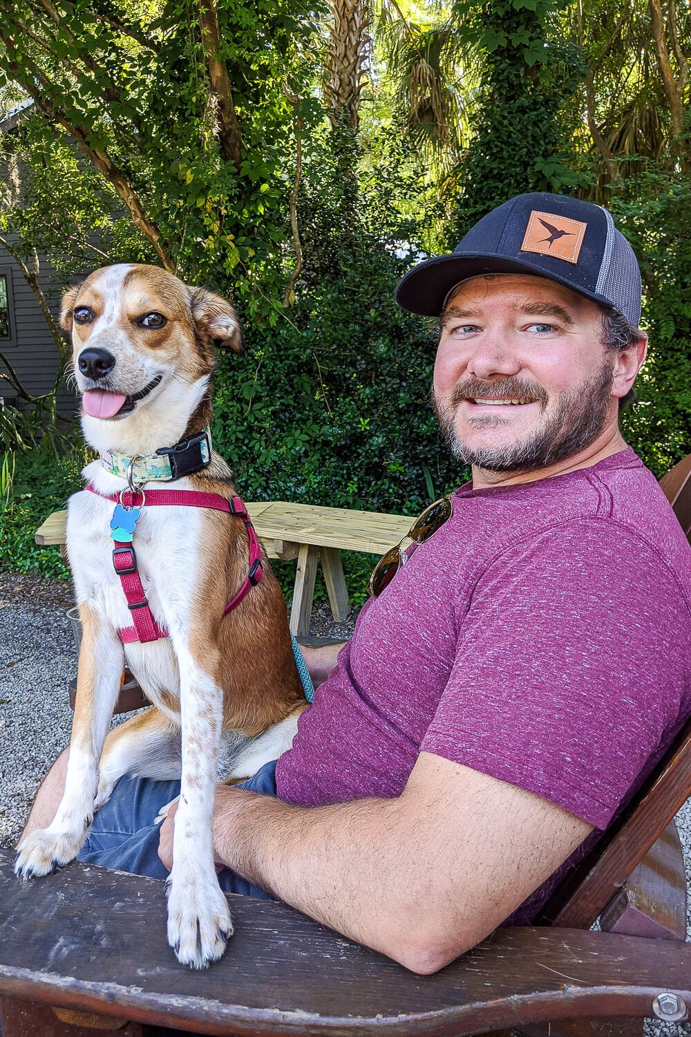 low tide brewing dog friendly