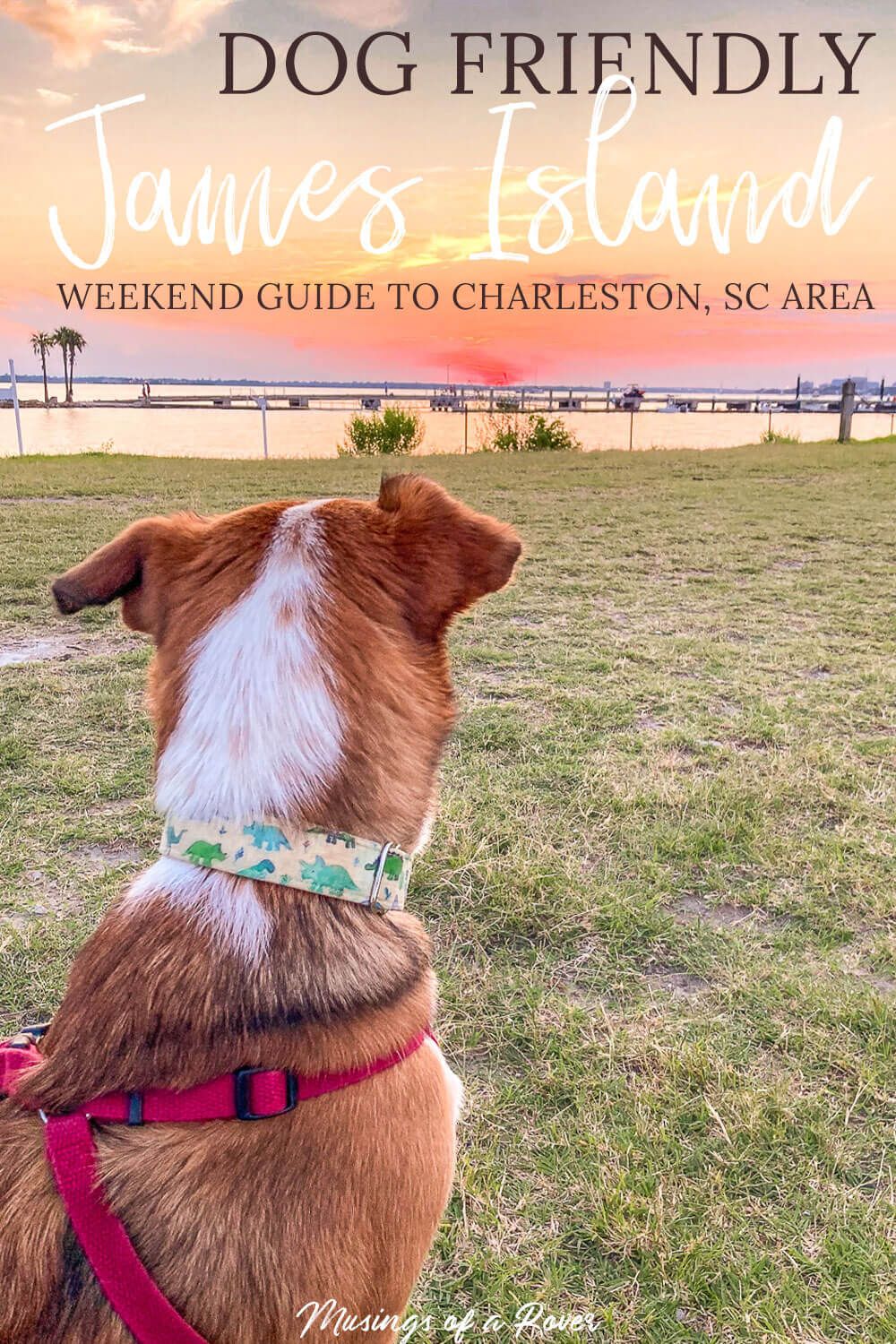 Looking for a dog friendly guide to James Island and the Charleston, SC area? This one includes breweries, restaurants, beaches, parks, and more! Find out where to stay, where to eat, what to do, and where to go!