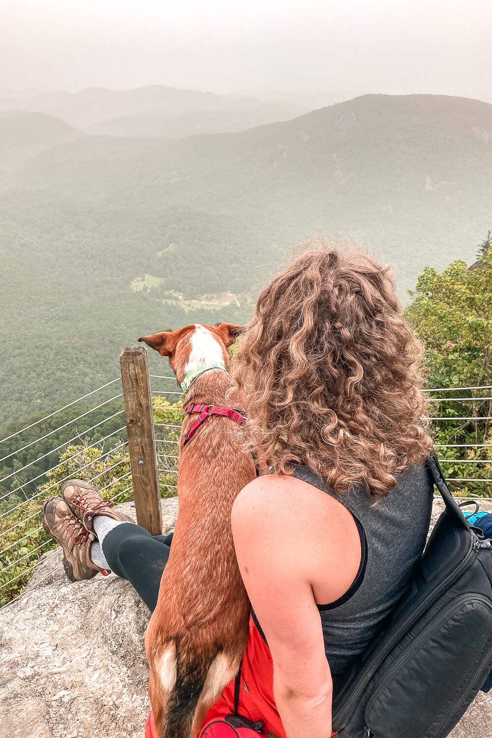 whiteside mountain trail, highlands nc