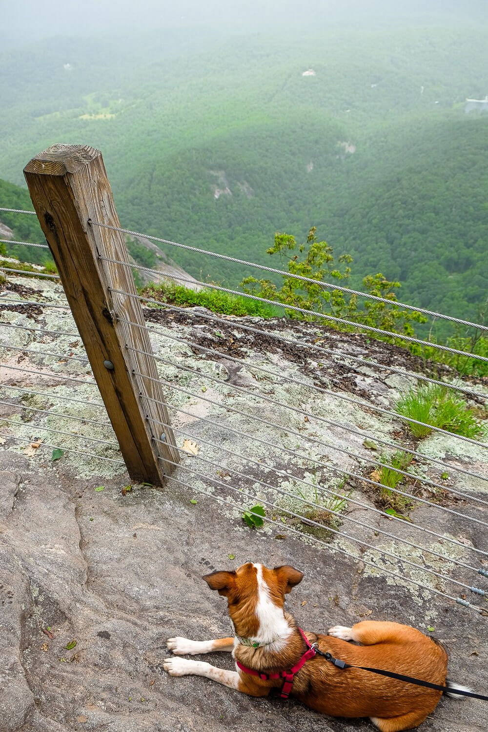 whiteside mountain trail, highlands nc