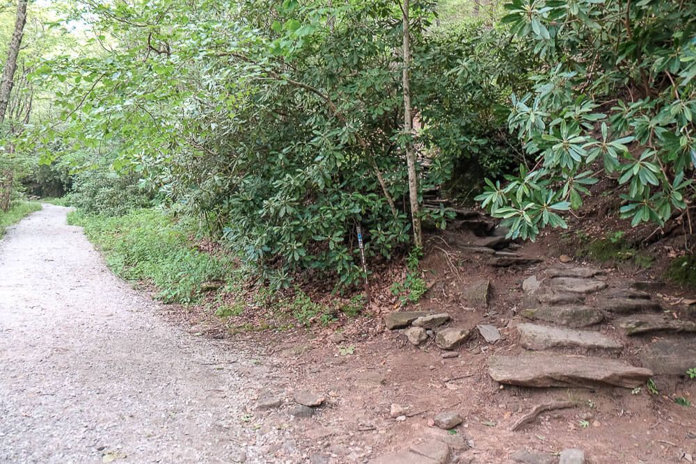 whiteside mountain trail, highlands nc