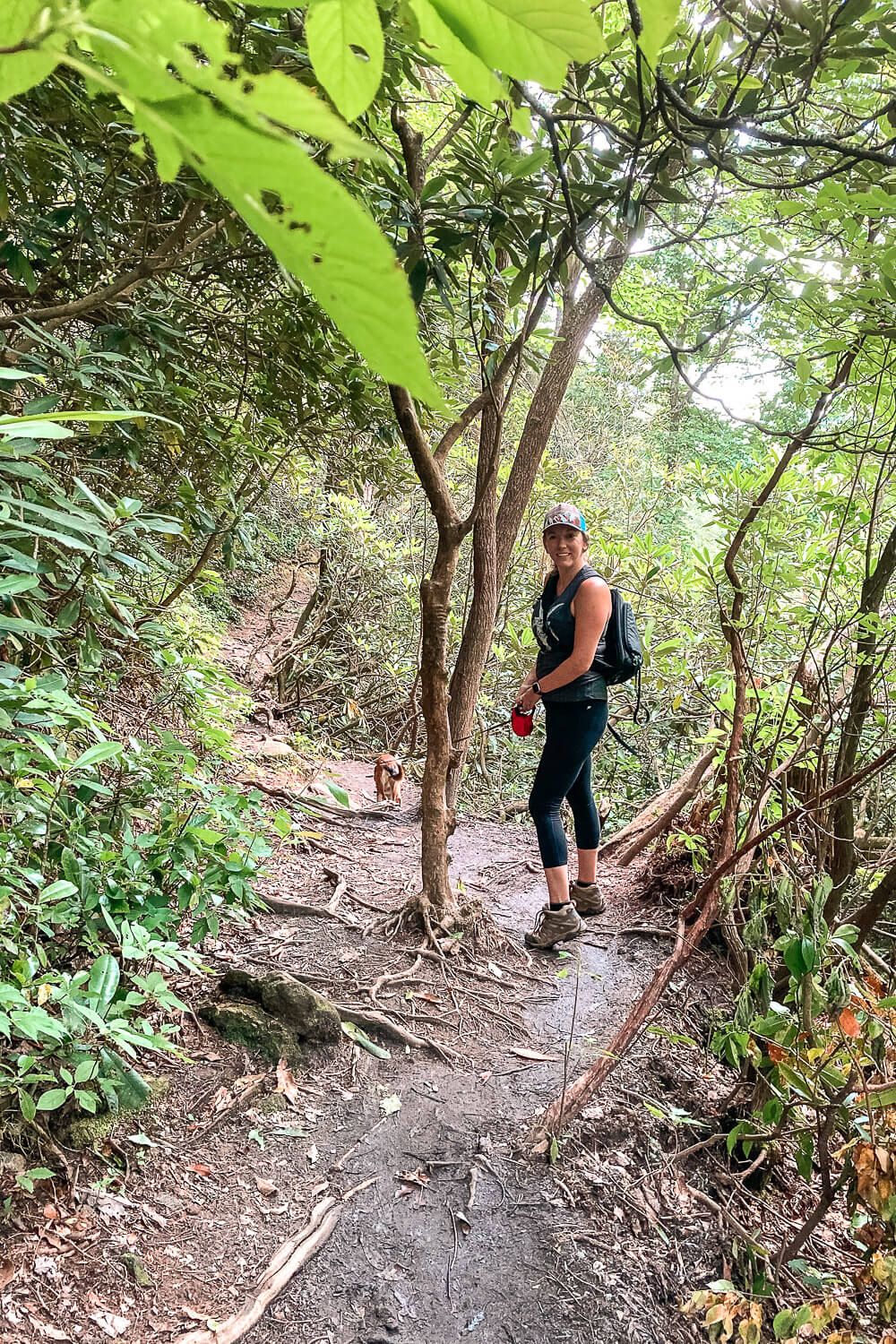 Glenn Falls Trail, Highlands NC