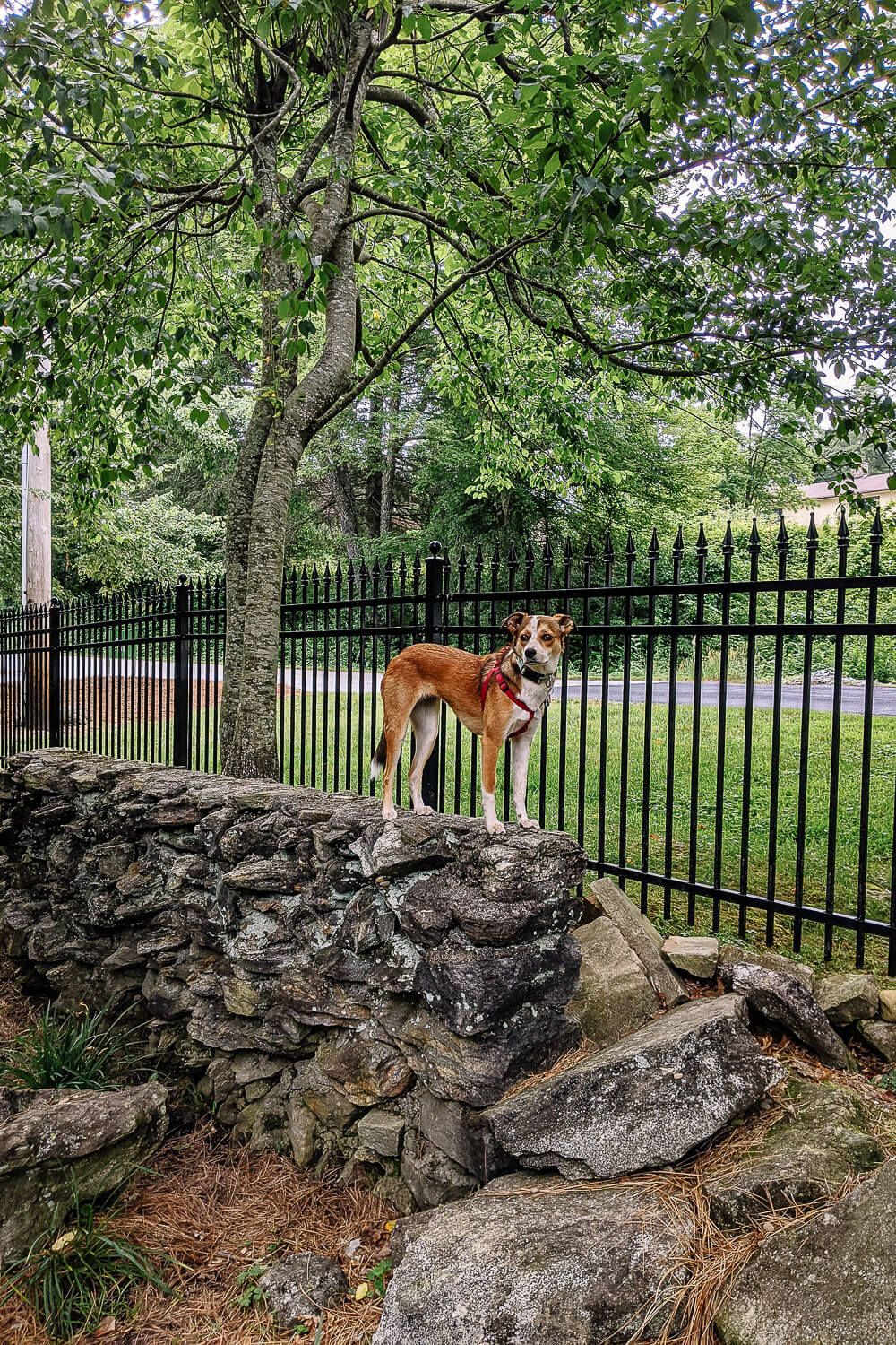 The Park On Main, Highlands NC