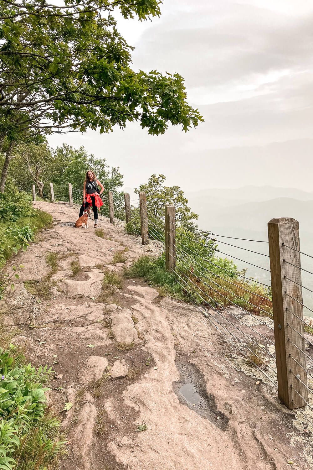 whiteside mountain trail, highlands nc