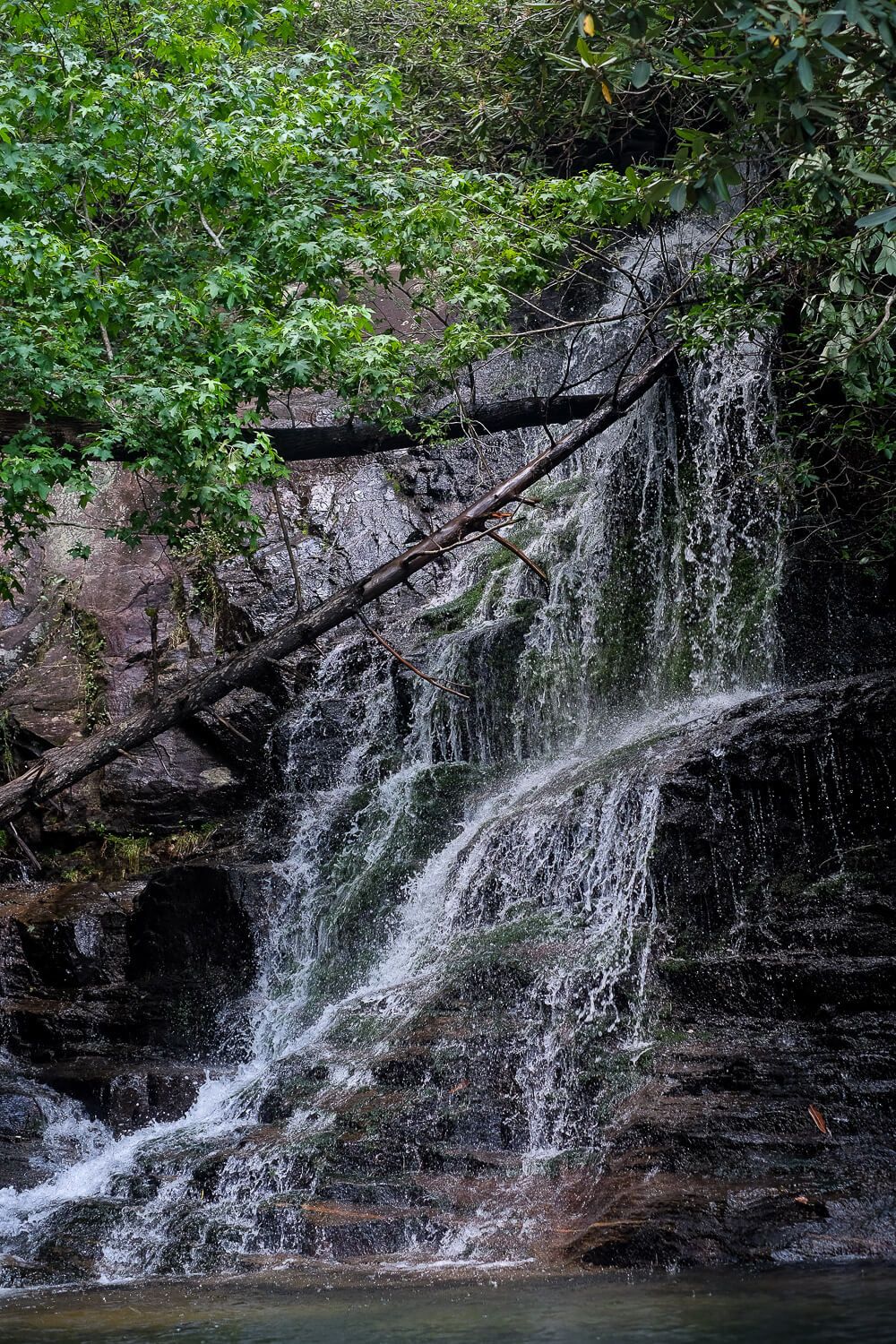 devils hole creek falls