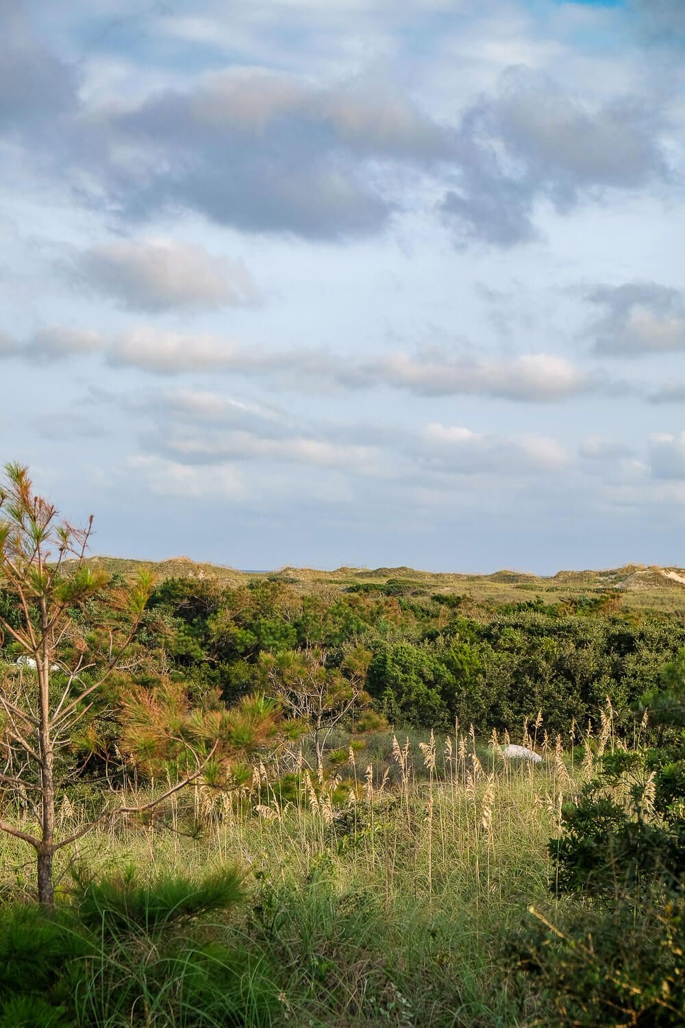 frisco campground