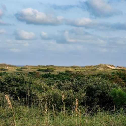 Camping at the Frisco Campground in the Outer Banks