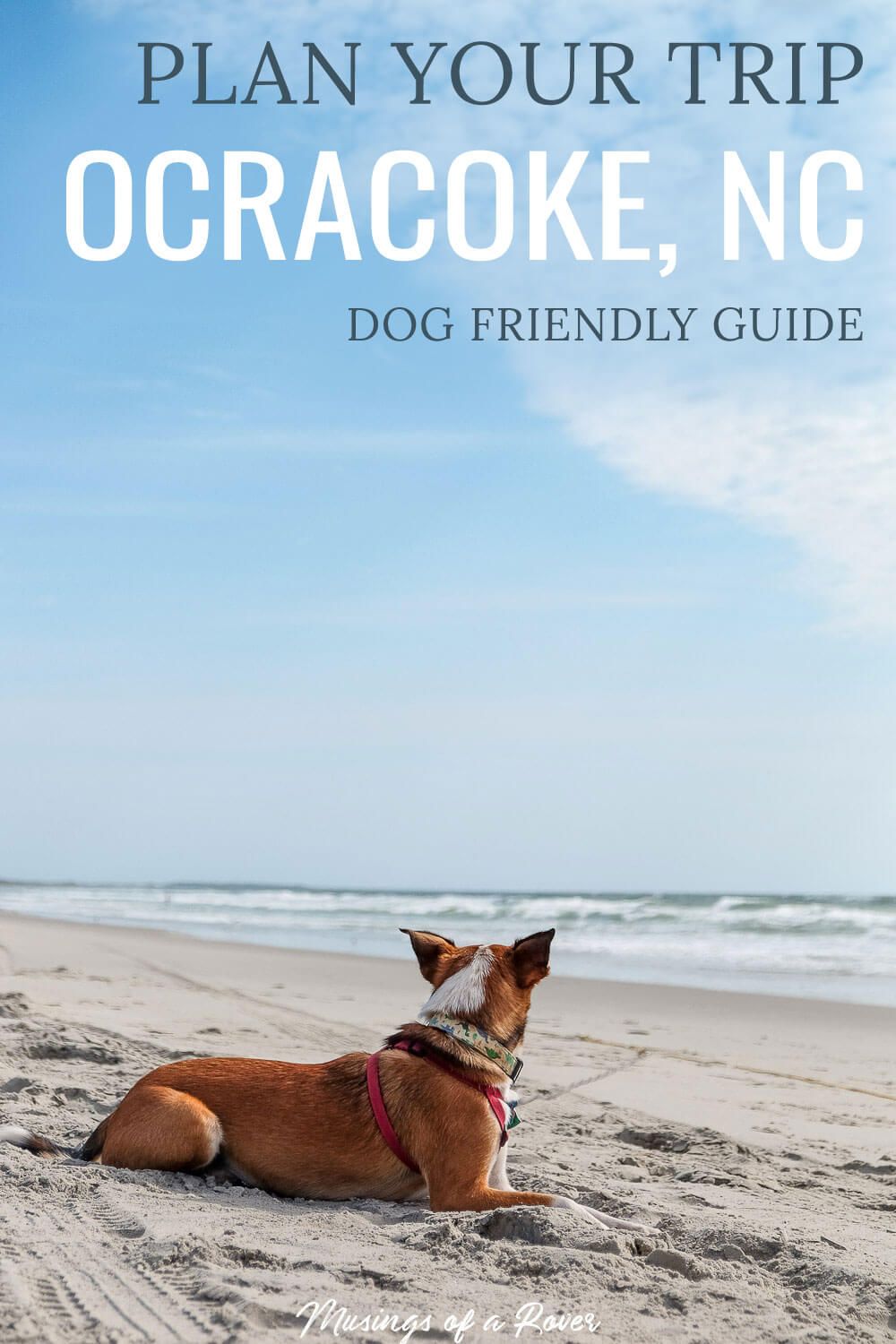 Headed to Ocracoke Island in the Outer Banks for your vacation? Discover where to eat, where to stay, and things to do in Ocracoke, NC - dog friendly included!