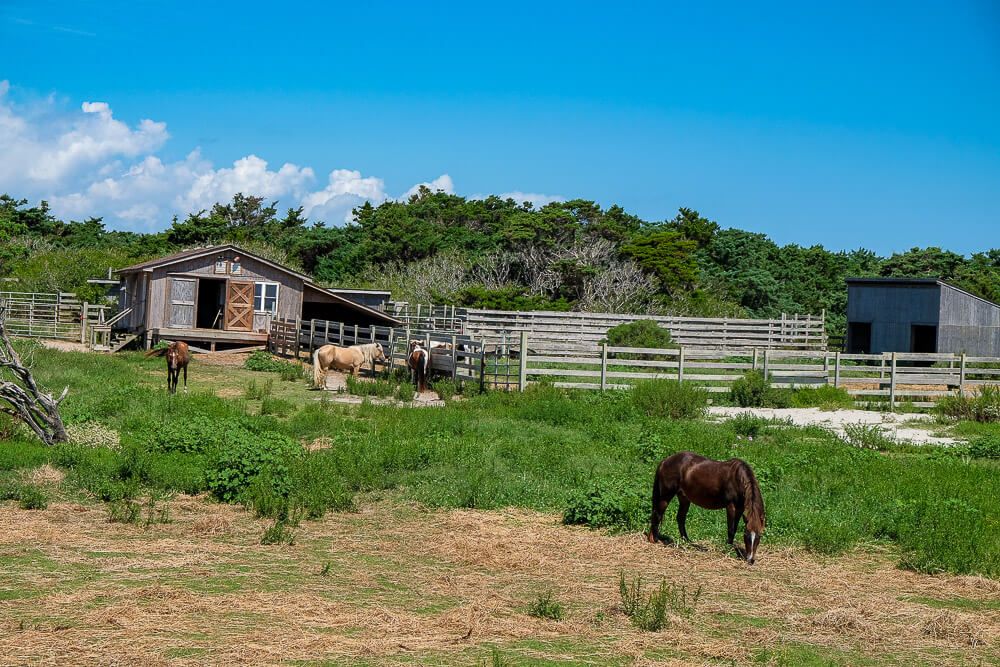 pony pens ocracoke