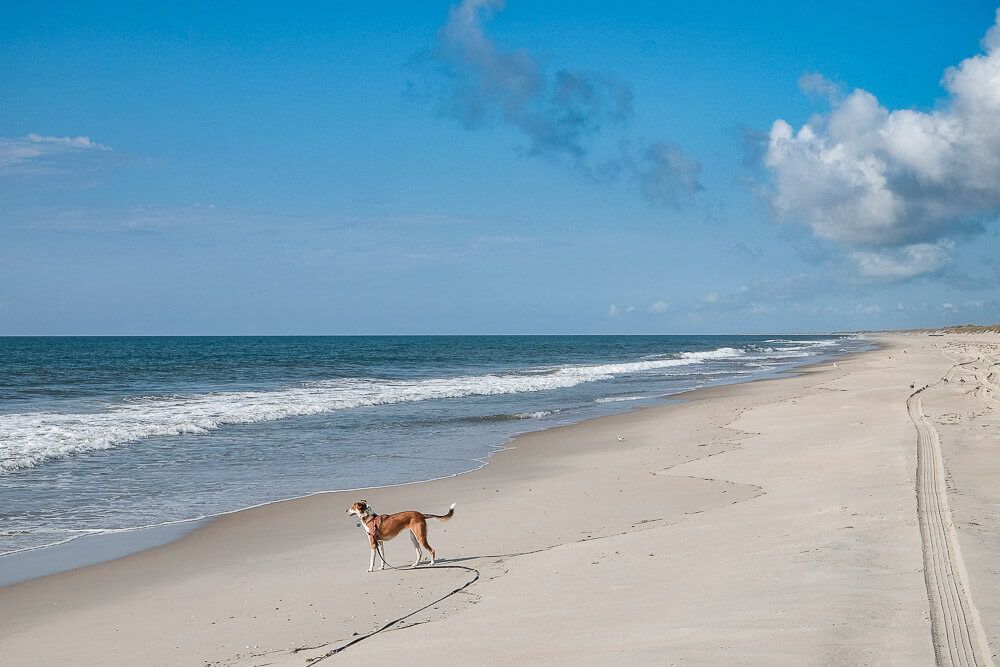 ocracoke beach