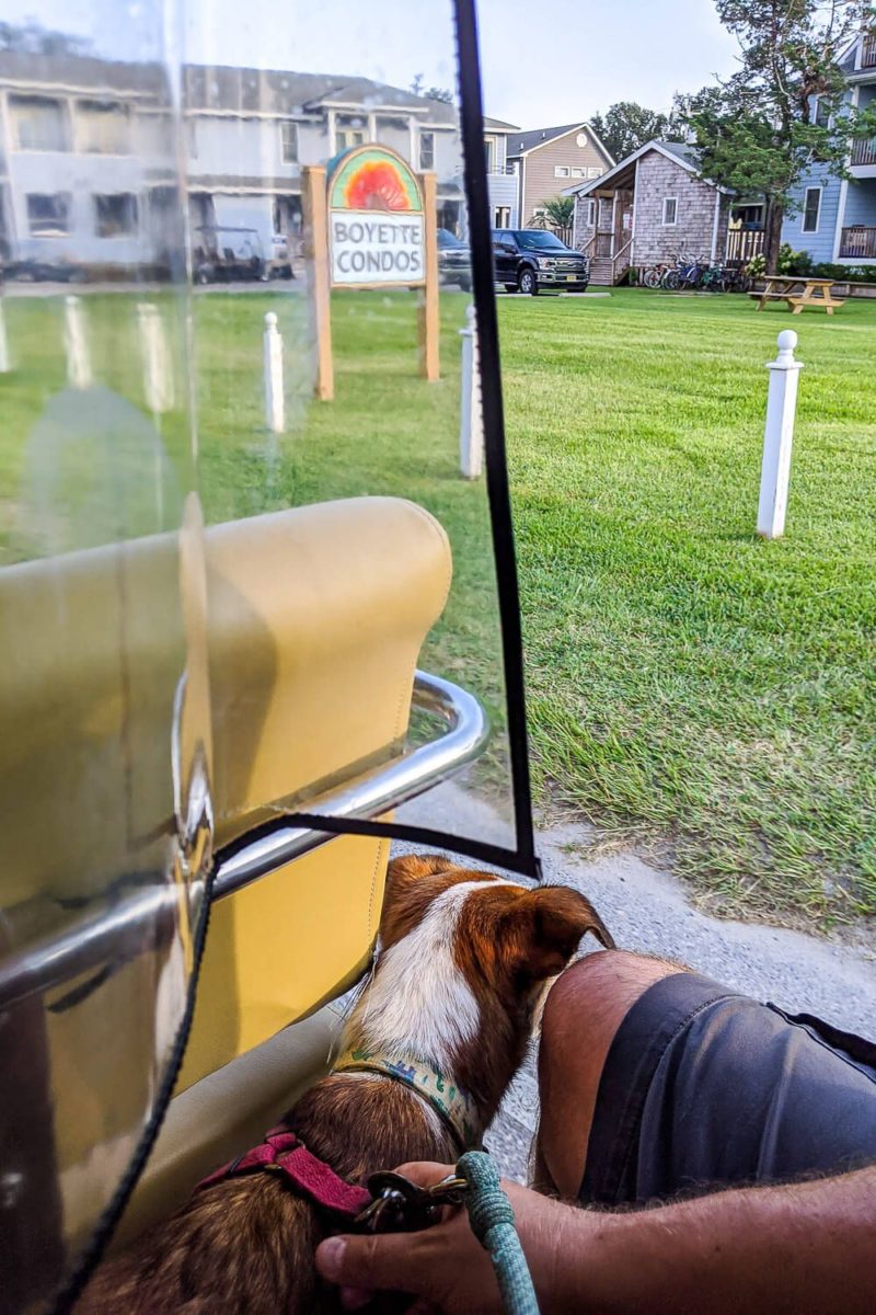 Plan Your Beach Trip to Ocracoke [Dog Friendly Guide]