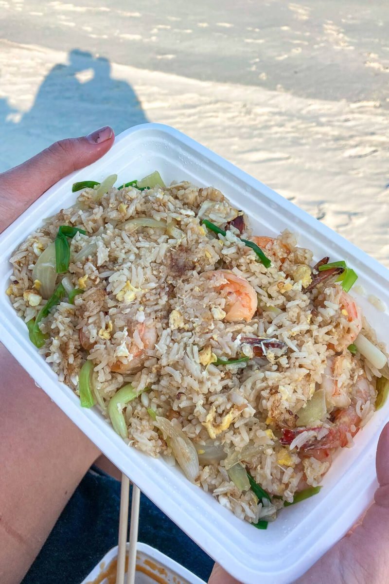 Plan Your Beach Trip to Ocracoke [Dog Friendly Guide]